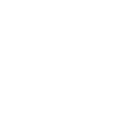 Solution Agency logo preloader